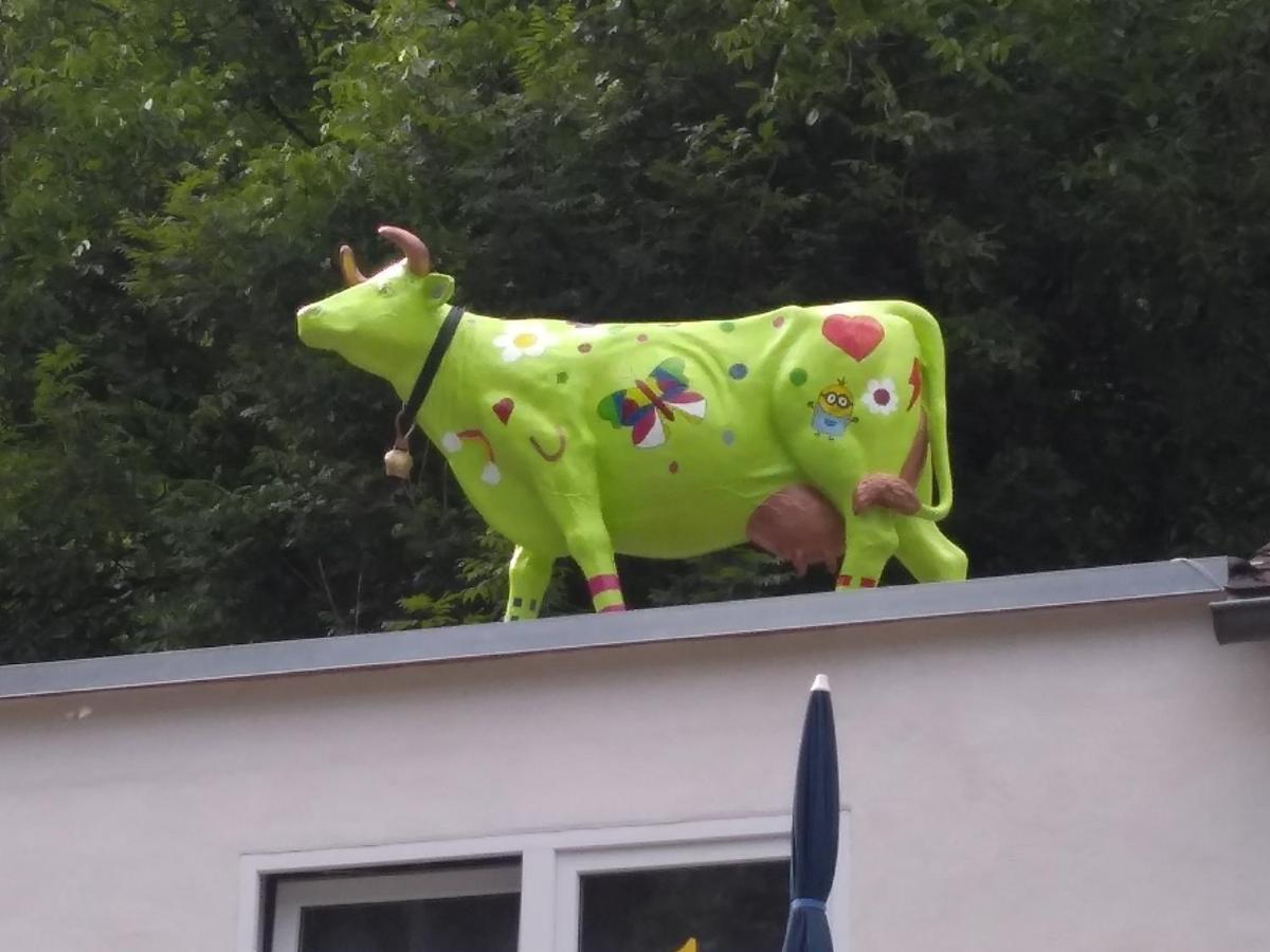 Pension Camping Schausten Cochem Exteriör bild